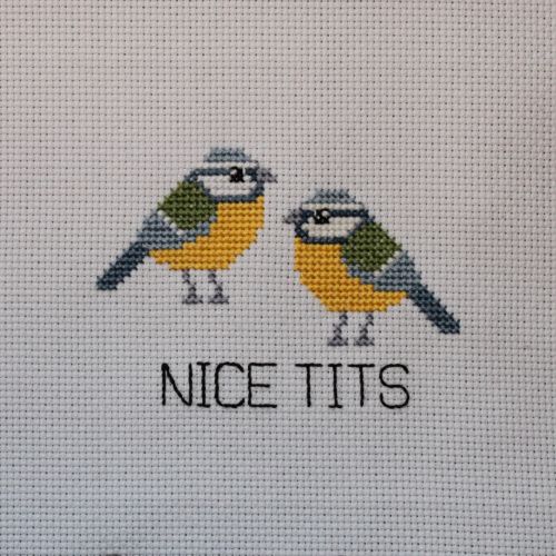 Nice Tits cover